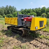 Dumper chenillé tout-terrain de 3 tonnes, benne hydraulique, transporteur chenillé CE Euro 5 pour le transport de matériaux en montagne et en ferme