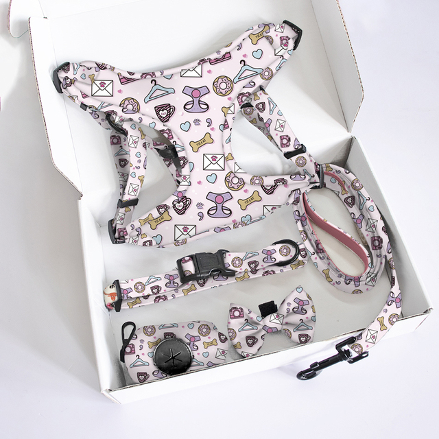 Custom logo and Pattern Dog Harness No Pull Mesh Soft Puppy Accessories Boutique Pet Collars and Leashes Kit
