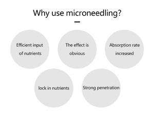 Rouleau <span class=keywords><strong>Derma</strong></span> à Micro-aiguilles 2 en 1 avec Rouleau en Jade et Acier Inoxydable ABS pour Soins de la Peau - Product Image 6
