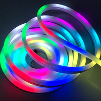 Lampu Strip LED Fleksibel Neon RGB 5050 IP67 PVC Silikon 12V/24V Panjang 10m Putih Hangat dengan Pengontrol Kontrol Suara 12mm