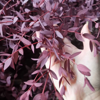 80g de feuilles fines d'eucalyptus séchées naturelles, bouquet de fleurs vertes fines, bouquet de fleuriste pour la Saint-Valentin, Noël