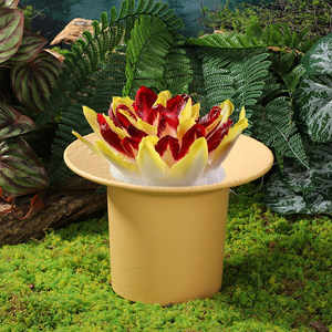 Wild and rustic style trendy hot pot tableware, beautiful vegetable <b>plates</b>, purple baby bok choy, yam, corn, bamboo shoots, - Product Image 2
