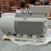 Moteur à induction à cage d'écureuil refroidi par air haute efficacité 220V 380V 250kW 315kW 500kW IP55 pour l'exploitation minière et la métallurgie