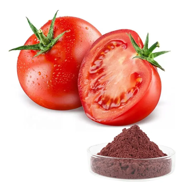 제조업체 공급 고품질 토마토 추출물 100% 천연 리코펜