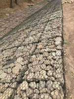 Panier gabion en treillis soudé hexagonal galvanisé à chaud et recouvert de PVC, robuste, pour la protection des berges fluviales