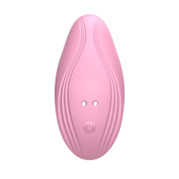 USB-Betriebener Mini-Dildo Vibrator Tragbarer Ferngesteuerter Klitoris-Stimulator 10-Gang-Vibration 100% Wasserdichtes Sexspielzeug