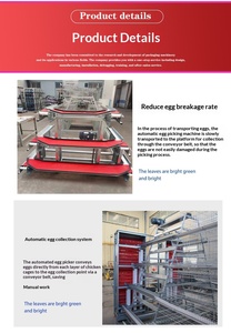 Nuevo Gallinero Automático de Alta Calidad al Mejor <span class=keywords><strong>Precio</strong></span>, con Alimentación y Bebedero Automáticos, de Tres Niveles, Tipo H - Product Image 3