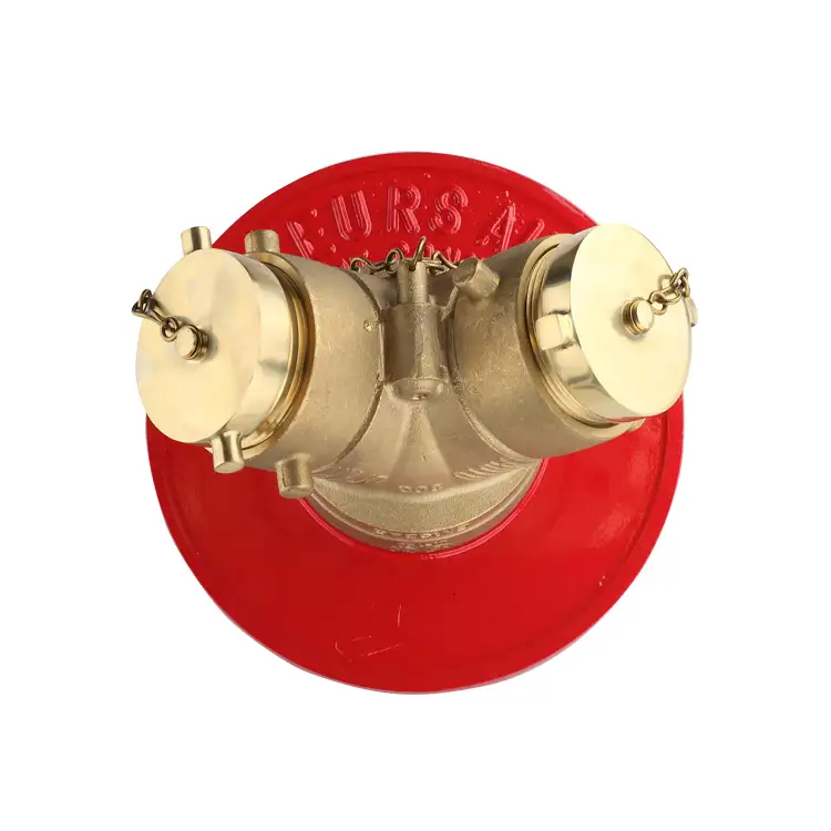 Hydrant 2 Way Fire Hydrant Straight Body FM UL Brass Siamese Connections With Clapper
