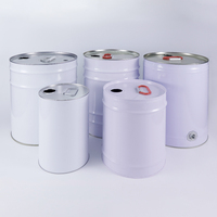 Bidon en fer blanc de 5L avec poignée, vide, pour peinture, revêtements, produits chimiques, solvants, liquides, emballage, matériaux recyclés, personnalisable OEM