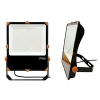 Exportation vers L'europe LED Sport Lumière 0-10V Dim LED Projecteur 100w 150w 200w 250w 300w 400w IP66 Projecteur peut travailler avec CCTV Caméra