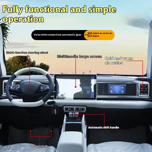 Yetişkinlerin yeni enerji elektrikli Mini araba dört tekerlekli yağ-elektrikli çift amaçlı düşük hızlı yürüyüş pil sol kanatlı için işletilen - Product Image 2