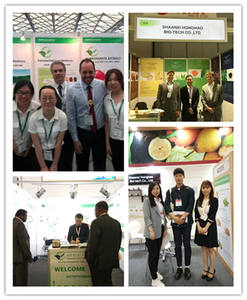 공장 공급 <span class=keywords><strong>arabica</strong></span> 커피 콩 추출물 인스턴트 커피 분말 - Product Image 4