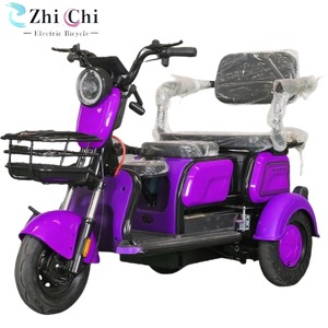 Triciclo Eléctrico de 3 Plazas con Certificación <span class=keywords><strong>EEC</strong></span>/DOT, 48V/60V 1000W, con Toldo de Acero, para Familias y Adultos, Compatible con OEM/ODM, Directo de Fábrica - Product Image 3