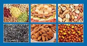 Máquina peladora de piel de maní seco para tostado de maní, piel roja de maní tostado y pelado, mini máquina peladora - Product Image 6