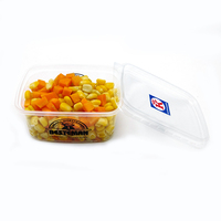 Boîte en plastique LIXIN pour emballage de crème glacée et gelato à emporter, petite capacité, impression de logo personnalisée, revêtement UV, 5oz, 6.6oz, 8.5oz