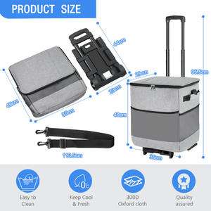 Customizable OEM New Insulated Plastic Folding Wagon Portable Bag with Waterproof <b>Foldable</b> <b>Trolley</b> for Outdoor Camping - Product Image 2