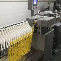 Nieuwe JW-7412 Casing Candy Vormmachine, productielijn voor snoepjes voor snackfabrieken