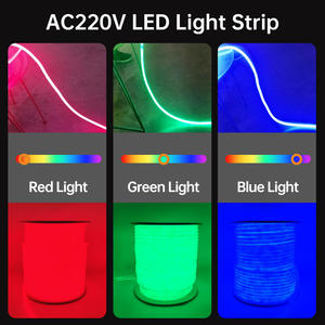 <span class=keywords><strong>Ruban</strong></span> <span class=keywords><strong>LED</strong></span> flexible néon 12V, étanche IP67, extérieur, SMD 2835, 360° rond, WS2811 Pixel, 50m, mini, <span class=keywords><strong>bleu</strong></span>, RVB - Product Image 3