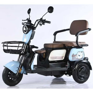 Triciclo Eléctrico de 3 Ruedas con Carrocería Abierta de Acero, Neumático 300-8, 48V, Motor de 600W en la Rueda Trasera, <span class=keywords><strong>Precio</strong></span> de Fábrica, para Adultos y Personas Mayores - Product Image 2