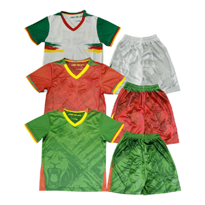 2526 heiß verkauftes Team-Fußball trikot, Polyester gewebe, Spieler version, Kamerun-Fußball trikot De Foot Uniforme - Product Image 1