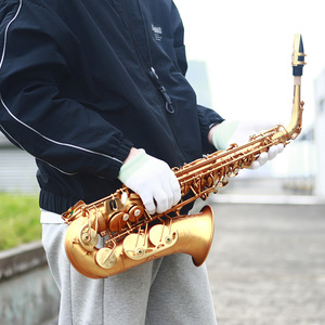 <span class=keywords><strong>SLADE</strong></span> Étudiant Saxophone <span class=keywords><strong>Alto</strong></span> E Flat Saxophone Débutant Ensemble complet avec étui Embouchure Sangle Reed Diverses couleurs disponibles - Product Image 4