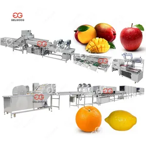 Lavadora y clasificación de frutas, fresas, manzanas y naranjas, 5 toneladas/hora, lavadora y enceradora de verduras y frutas