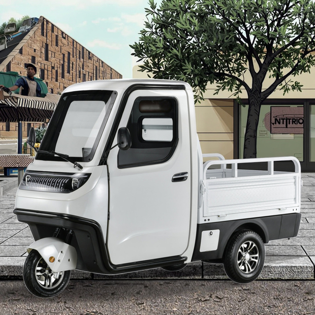 2025 60v 3000w Electric Cargo Cabin Pickup Truck with 2 Doors New Energy Vehicle with EEC Certificate Mini Electric Pickup