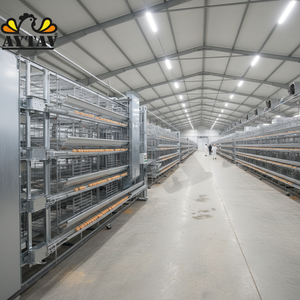 ระบบกรงไก่โลหะ 15 ชั้น คุณภาพใหม่ AYCAGE 60x60 ระบบเก็บไข่และมูลไก่อัตโนมัติ ผลผลิตสูง รับประกัน 1 ปี AYTAV - Product Image 3