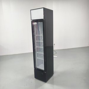 Refrigerador Comercial Vertical Delgado de Una Puerta y Una Sola Temperatura para Exhibición de Bebidas y Vegetales - Product Image 2