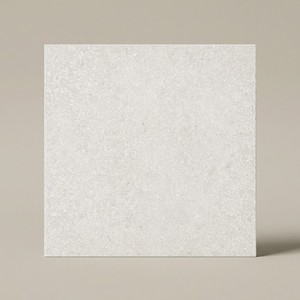 Baldosa de terrazo tipo hueso 20x20 cm 8 mm acabado mate bordes irregulares - Product Image 1