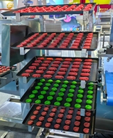 Machine à biscuits commerciale, machine à pâte feuilletée, machine à pommes de terre, machine à biscuits, vente directe du fabricant