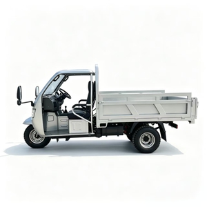 <span class=keywords><strong>Triciclo</strong></span> Motorizado Runhorse de Gasolina, <span class=keywords><strong>1000CC</strong></span>, Cuatro Cilindros, con Caja de Carga Trasera para Entrega de Mercancías y Transporte Rural - Product Image 3