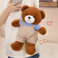 Oso de Peluche Vestido, Juguete de Peluche Suave y Esponjoso, Muñeco de Oso Sentado con Traje para Decoración de Sofá, Regalo de Cumpleaños para Niños