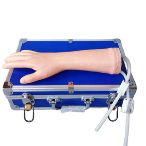 Intravenous Injection <strong>Arm</strong> Model - Product Image 4
