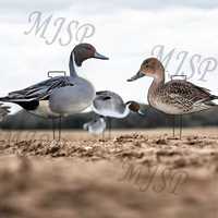 OEM ODM Leurres de chasse réalistes, anti-rayures, légers, en forme de silhouettes de canards à queue courte, recyclables