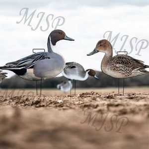 Oem ODM sống động như thật unti-scratch Ánh sáng trọng lượng Silhouette vịt pintails tái chế Silhouette decoys vịt mồi săn mồi - Product Image 6