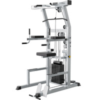 Barras Paralelas Individuales de Acero para Uso Doméstico, Equipo de Fitness Multifuncional con Funciones de Remo Sentado, Entrenador Integral