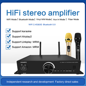 מגבר אודיו סטריאו Hi-Fi מקצועי, מבוקש מאוד, עם WiFi 2.4G ו-5G, AUX, BT5.0 ומקלט אופטי, למערכת שמע מרובת חדרים, 2x100W - Product Image 4