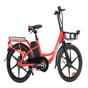 2020 뜨거운 판매 두 리튬 배터리 handiness 편안한 전기 자전거 LED 램프 순수 전기 새로운 자전거 자전거