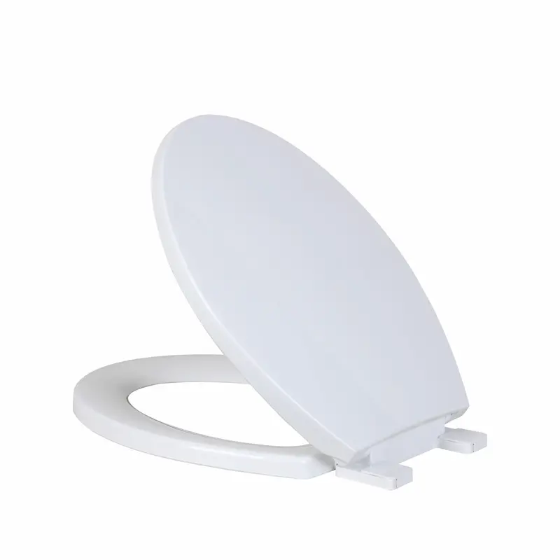 White Toilet Seat