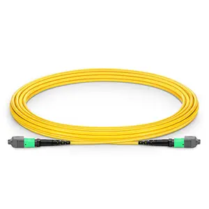 1m (3 pies) MTP -12 (hembra) a MTP -12 (hembra) Cable de conexión de fibra MTP de modo único OS2