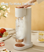 Restaurant Hotel Koolzuurhoudende Watermachine Huishoudelijke Sodawatermaker
