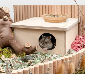 Maison de hamster en bois naturel personnalisé fabriqué à la main pour petits animaux refuge cage à mâcher jouet chinchilla rat souris gerbille - Product Image 6