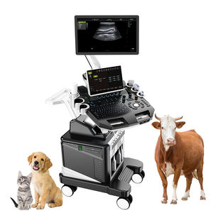 Mesin <span class=keywords><strong>Doppler</strong></span> warna cembung 4D terbaik anjing kucing hewan peliharaan pemindai <span class=keywords><strong>Ultrasound</strong></span> hewan peliharaan mobil - Product Image 1