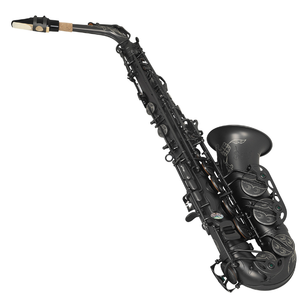 Bán buôn <span class=keywords><strong>sax</strong></span> sợi gió gia cố nhựa trường hợp xách tay cứng <span class=keywords><strong>Alto</strong></span> Saxophone trường hợp - Product Image 3