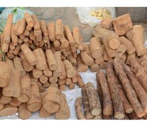 新的整段Thanakha茎生干Thanakha木茎切割 - Product Image 2
