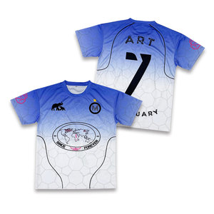 Camisetas Deportivas Personalizadas de Fábrica OEM con Logotipo Impreso, Transpirables, de Malla, Tallas Grandes, de Poliéster, Casuales - Product Image 1