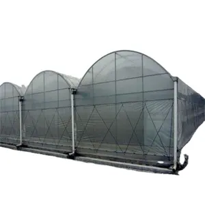 Gutter Connected Greenhouses automatic control multi span high tunnel pe/po film multi-span greenhouse