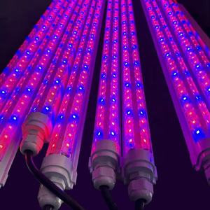 Le tube <span class=keywords><strong>LED</strong></span> étanche IP65 élève un éclairage pour la croissance de la culture des microalgues - Product Image 1