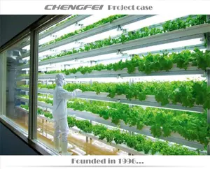 Invernadero de jardín, sistema hidropónico Vertical para cultivo, hermoso sistema hidropónico para interior, 2021